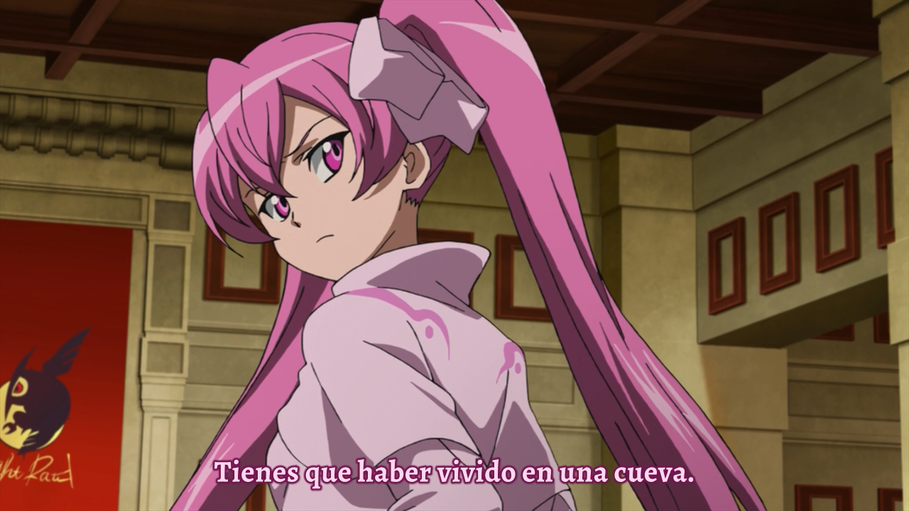 Akame ga Kill! BD (Dokusai)